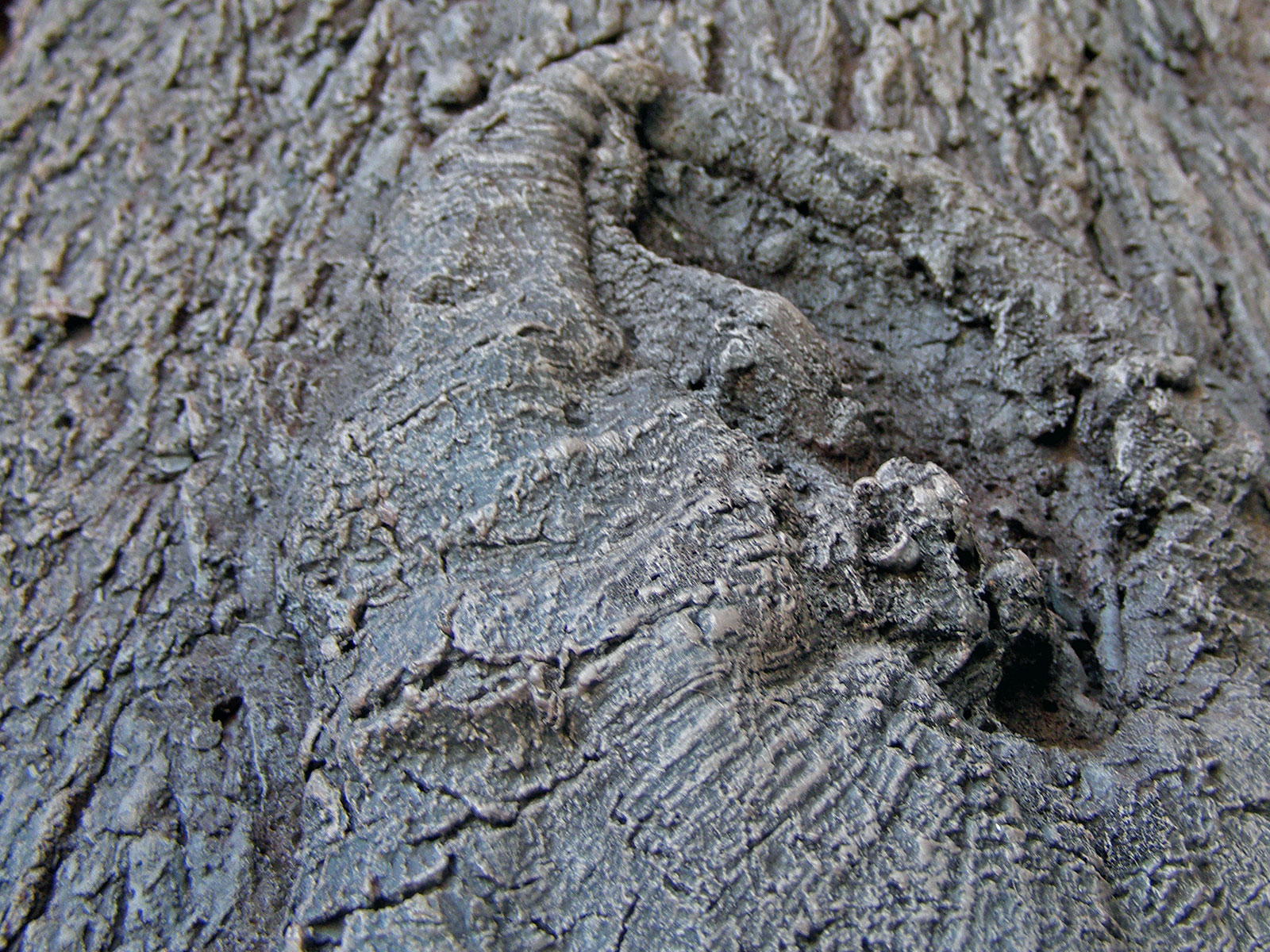 themed-environments04